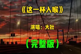 #伤感歌曲《这一杯入喉》沧桑浑厚的烟嗓 词曲走心 治愈了多少人