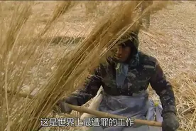 中国最后的“刀客”，仅凭一把镰刀就能摆平120万亩芦苇荡！视频封面