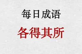 易错成语讲解之各得其所