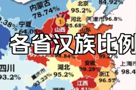 各省汉族人口比例排名，你的家乡是多少？