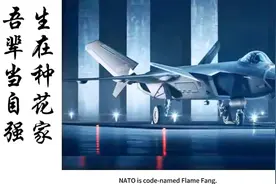 外国人评论歼20，中国人有火力不足恐惧症！#歼20 #中国空军威武视频封面