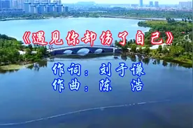 深情演绎《遇见你却伤了自己》的伤感故事视频封面