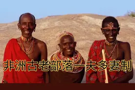 非洲原始部落的一夫多妻制度，男人享受的待遇犹如古代皇帝