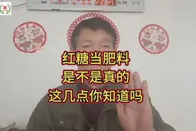 红糖当肥料是真的吗？在种植中到底起什么作用？别再交智商税了视频封面