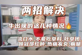 两招解决牛流口水，不爱吃草，吐草团，蹄冠部红肿，发炎腿瘸视频封面