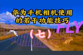 华为手机相机使用的若干功能技巧——微距模式与动态图片（七）视频封面
