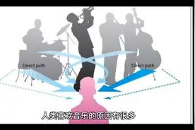 人类为什么喜欢音乐