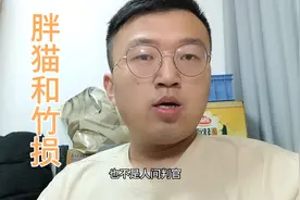 知道胖猫玩了八千场梦奇，玩了1400场吕布的我似乎有点感同身受了视频封面