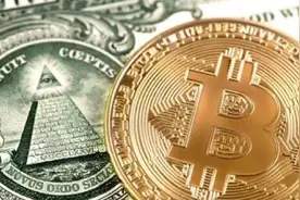 2023年10月数字货币落地 - 趣百科视频封面