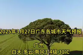 3月27日广州晴天多云，最高31°C，风力3-4级