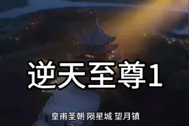 逆天至尊视频封面