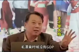 王立华大实话：伟人时代没有GDP，1995年才有！视频封面