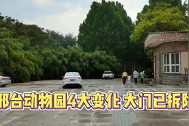 邢台动物园4大变化大门、围墙、停车场门禁已拆除！猛禽区增围栏视频封面