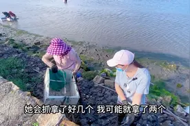 乌克兰媳妇和婆婆去赶海，让我们一起来看看收获如何吧！