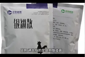 银翘，功效与用途