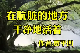 《在肮脏的地方干净的活着》作者，贾平凹视频封面