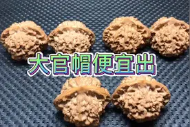 王勇麒麟纹大官帽，大尺寸53-54，便宜放漏出，送长辈练手非常好视频封面