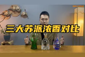 400元档苏派浓香对比测评，双沟绿苏、今世缘国缘四开、洋河梦3视频封面