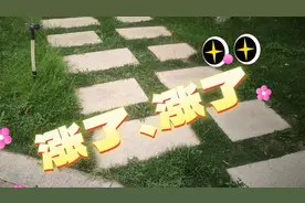 兵团退休人又涨工资啦视频封面