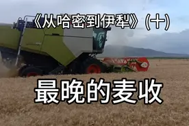 全国最晚麦收!八月底还在收小麦!要问哪里？新疆昭苏。视频封面