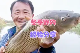 冬季野钓经验分享，鲫鱼一般都会藏在重障区，尤其适合垂钓小水域视频封面