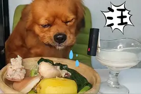 捡回的狗子从来不挑，大口吃肉，大口啃骨头，光听声都下饭视频封面