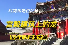 权势和地位的象征 宫殿建筑上的龙    带你走近皇家大院视频封面