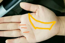 元宝纹在手富贵的相