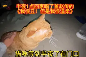 半夜一点回家了！猫咪早就在门口等上了！一直等到了半夜！