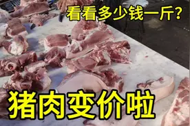 辽宁猪肉变价啦，8月30日大家看看多少钱一斤？大家感觉便宜吗视频封面