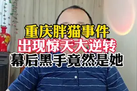 人民日报点评重庆胖猫事件，出现惊天大反转，幕后黑手竟然是她！