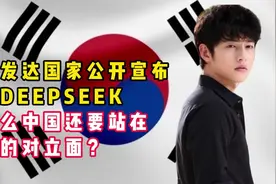 外网热议：数个国家不DEEPSEEK，熊猫为何坚持对立面？视频封面
