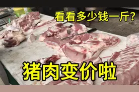 辽宁猪肉变价啦，9月2日大家看看多少钱一斤？大家感觉便宜吗视频封面