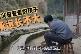 《凡人歌》谢美兰拒绝复合 沈磊隐居