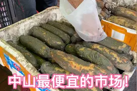 北京夫妻在中山：张溪市场，中山最便宜的地方！海鲜价格低到惊人