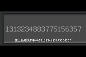 我的世界史上最逆天的种子