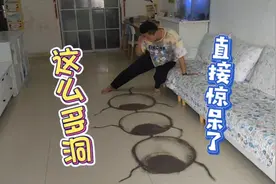 阿帅在沙发睡觉，客厅出现三个洞，是打地鼠的吗🤪