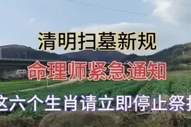 清明扫墓新规，命理师紧急通知，该内容仅供参考视频封面