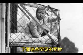 真实存在过的人类动物园，简直是西方世界耻辱史视频封面