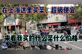 在上海这里买菜，超级的便宜，来看一看我买的什么菜，什么价格？视频封面