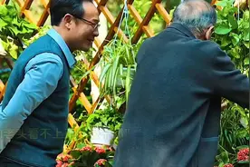 一起来看一看高启强是如何一步一步称霸京海的？视频封面