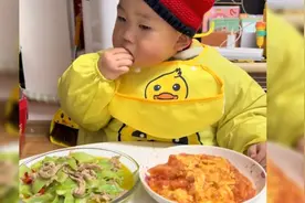 2岁的天才宝宝太聪明了，连“兔死狐悲”这个成语都能理解视频封面