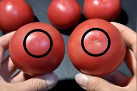 西红柿好坏，瞟一眼这里就知道，一挑一个准，老菜农的方法真实用