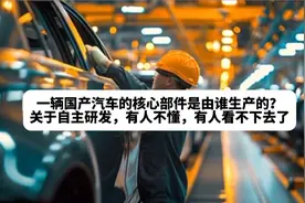 国产汽车的核心部件是由谁生产的？关于自主研发，有人看不下去了