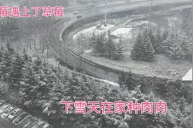 下雪天在家种肉肉，给九尾狐换盆换土，九尾狐爆侧芽了，换个高盆