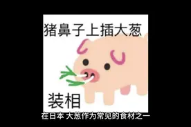 日本为啥疯狂进口中国大葱？！视频封面