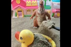 嘎嘎……哎吆哪来一个这么大一只鸭子啊？