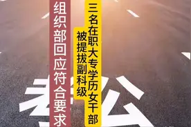 三名95后在职大专学历女干部，被提拔为副科级。体制内人:跨度大视频封面
