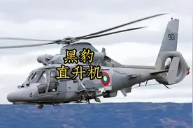 意义非凡-法国黑豹（海豚）直升机视频封面