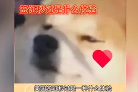 哈哈哈，其实签证官只是想通过聊天看你有没有撒谎。视频封面